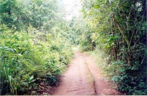 เส้นทางมุ่งสู่หมุ่บ้านห้วยแห้ง