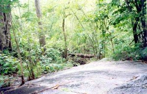 ลานหินก่อนขึ้นเขาโบราณ