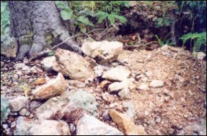 ร่องรอยการขุดหาสมบัติของนักแสวงหาโชค