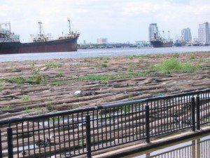 ท่อนซุง เรือสินค้า ที่แม่น้ำเจ้าพระยา